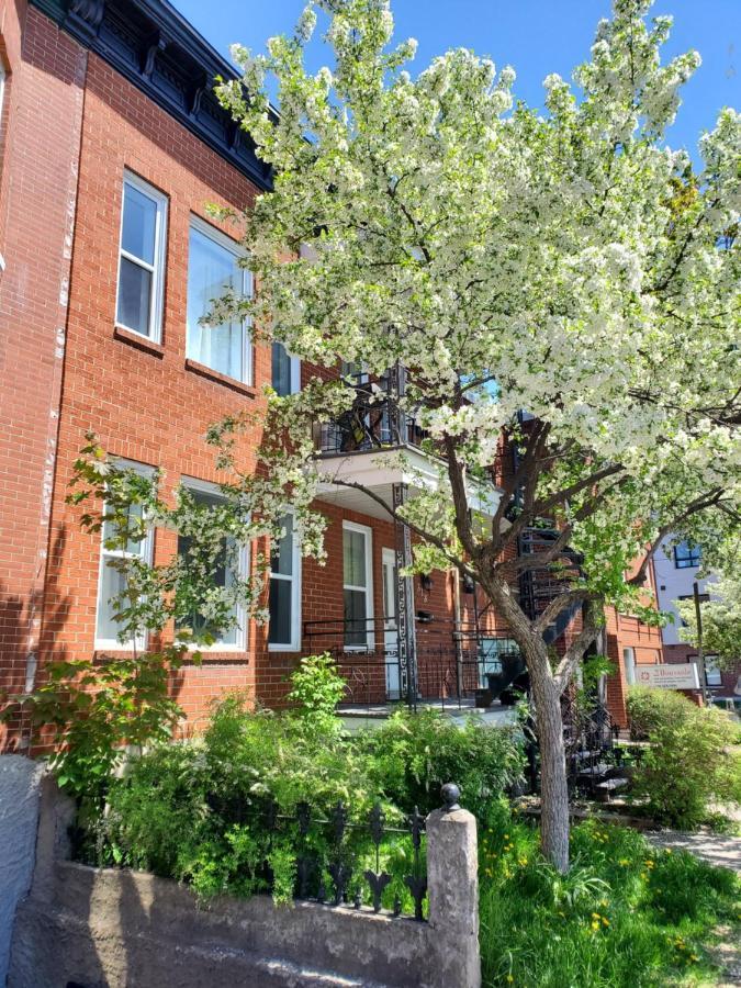 Les 300s 3e Avenue Appartement Ville de Québec